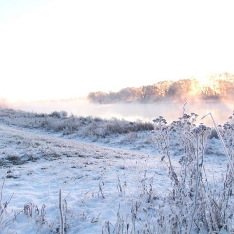 Umgebung-Elbe-in-Moritz-im-Winter.jpg