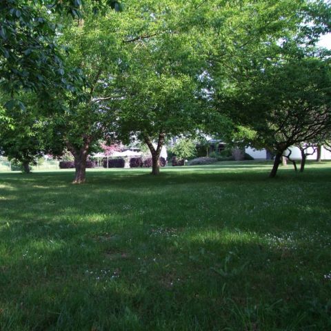 Gruenflaeche-am-Spielplatz.jpg