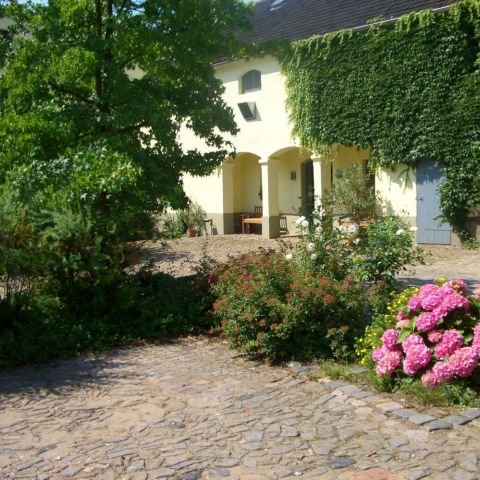 Innenhof-Bepflanzungen.jpg